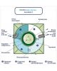 ГРИНЛОС Аква 12 Пр Лонг - фото 5